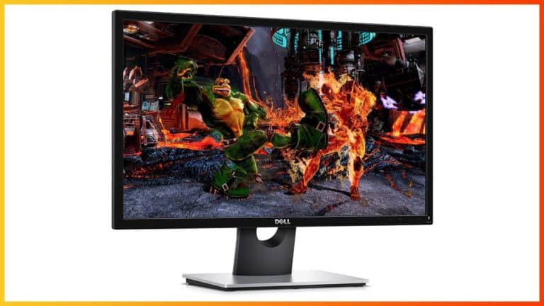 Dell SE2417HG Review 2025 - Why You Should NOT Buy